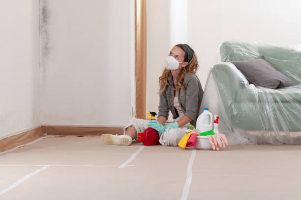 Reliable Commercial Mold Remediation contractor in Bedford, TX by 24 Hour Mold Removal